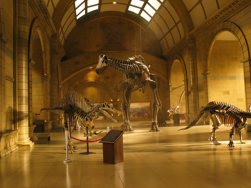 Scale model of dinosaurs.