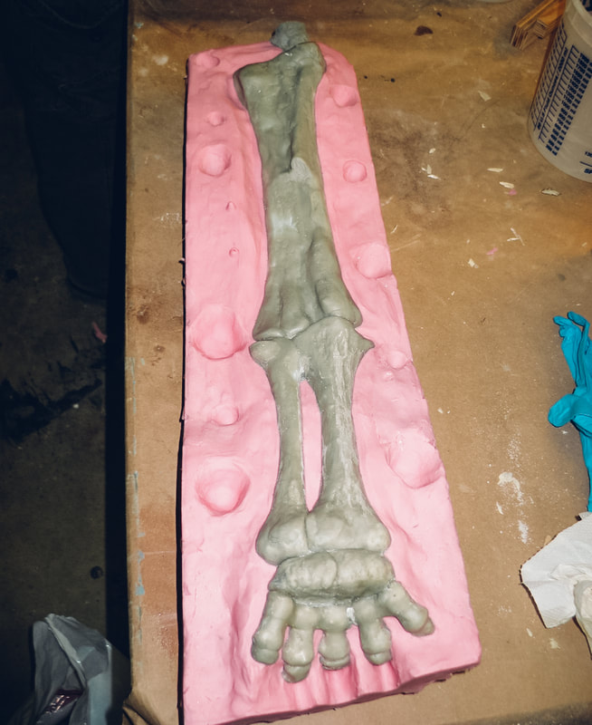 Silicon mold of a dinosaur leg.